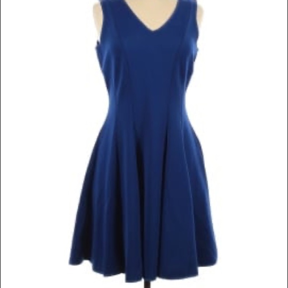 Slate & Willow A line Cobalt Blue Dress